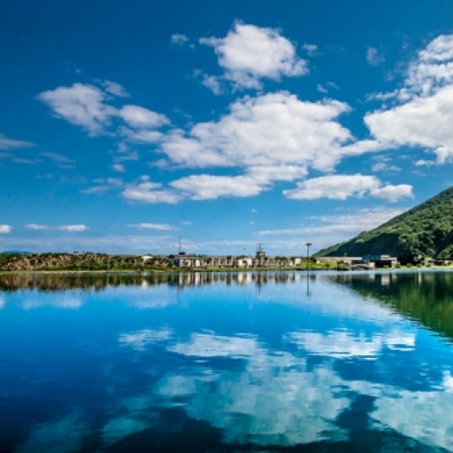 登龜山島+龜山八景+401高地